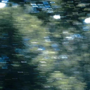 男人舔女人下面视频免费
